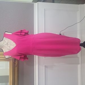Pink Dress V neckline and back zipper by Nicole Miller size Large NWT